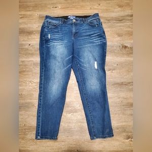 Size 18WP, Democracy, Stretchy Dark Blue Jeans